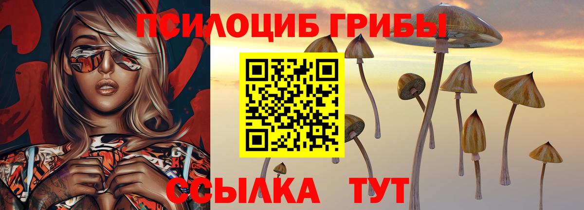 Псилоцибиновые грибы Psilocybine cubensis  Вход с VPN  Псилоцибиновые грибы мухоморы  Когалым 
